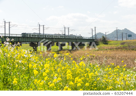 Rape blossoms and Chikushi (Mount Bota) from the riverbeds of the Onga River (Iizuka City, Fukuoka Prefecture) Rape blossoms and Chikushi (Mount Bota) from the riverbeds of the Onga River (Iizuka City, Fukuoka Prefecture) 63207444
