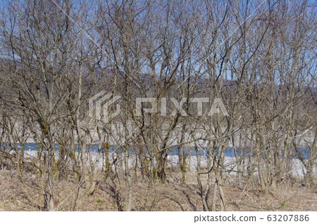 Mt. Torikko 63207886