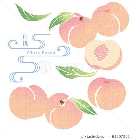 桃毛巾風格的插圖 63207901