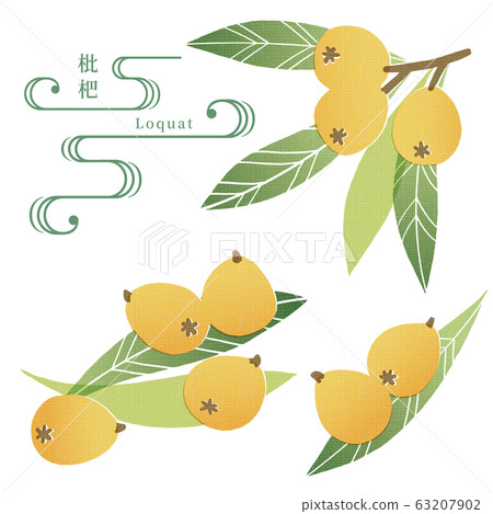 qua毛巾樣式插圖 63207902