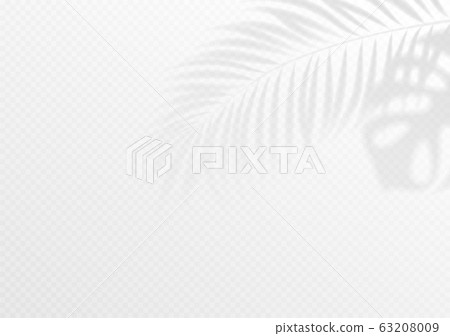 The transparent shadow overlay effect. Tropic leaf. Mockup with overlay a palm leaf shadow. Vector illustration The transparent shadow overlay effect. Tropic leaf. Mockup with overlay a palm leaf shadow. Vector illustration 63208009