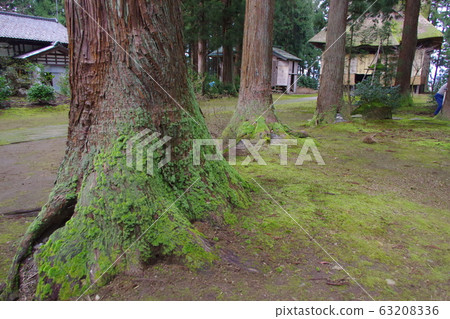 Shrines and temples 63208336