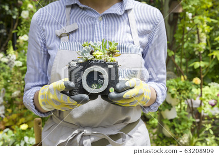 女手拿著多肉植物種植在相機型播種機 女手拿著多肉植物種植在相機型播種機 63208909