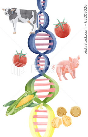 Genetically modified food image illustration Genetically modified food image illustration 63209026