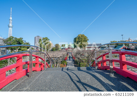 Kameido-ten Shrine in early spring in Tokyo 63211109