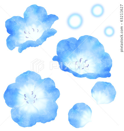 藍色的花圖nemophila水彩風格 63211627