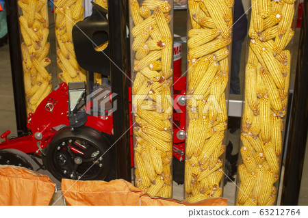 Corn collected from the field using a machine. Corn collected from the field using a machine. 63212764