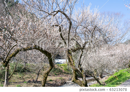 Hachioji City, Tokyo, Takao Umekyo, Promenade Bairin 63213078