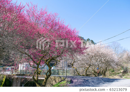 八王子市,東京,高尾梅京,Promenade Bairin 八王子市,東京,高尾梅京,Promenade Bairin 63213079