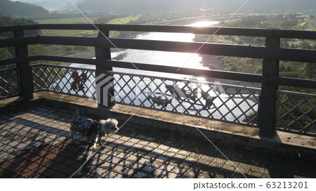 A dog seen from the observation deck of Maruyama Bridge in Arakawa A dog seen from the observation deck of Maruyama Bridge in Arakawa 63213201