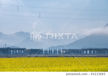 Rapeseed field / Funaeda-cho, Sabae-shi, Fukui / Sabae rape-rice / Hokuriku Shinkansen construction work Rapeseed field / Funaeda-cho, Sabae-shi, Fukui / Sabae rape-rice / Hokuriku Shinkansen construction work 63213665