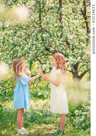 Adorable little girls in blooming apple tree garden on spring day 63214633