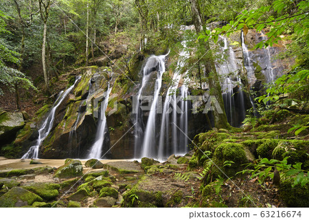 Kinayori Waterfall (Miyazu City, Kyoto Prefecture) Kinayori Waterfall (Miyazu City, Kyoto Prefecture) 63216674