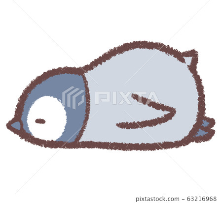 Penguin chick sleeps Penguin chick sleeps 63216968