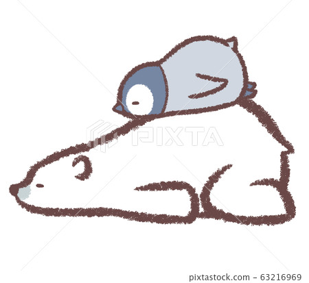 Polar bear penguin chick sleeps 63216969