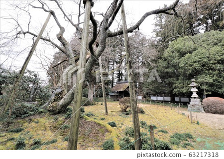 Horinji Temple, Ota City, Gunma Prefecture 63217318