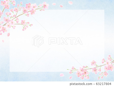盛開的櫻花櫻木染井吉野春天框架 盛開的櫻花櫻木染井吉野春天框架 63217804