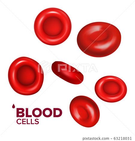 Blood Cells Erythrocytes In Vein Or Aorta Vector 63218031