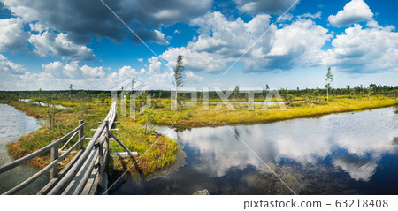 Wooden path in Kemeri National Park, Latvia Wooden path in Kemeri National Park, Latvia 63218408
