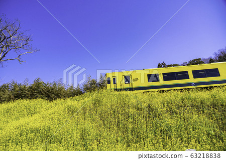 （千葉縣）夷umi鐵道菜子春天 63218838