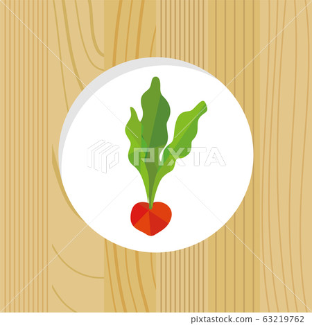 Vegetable icon: Radish 63219762