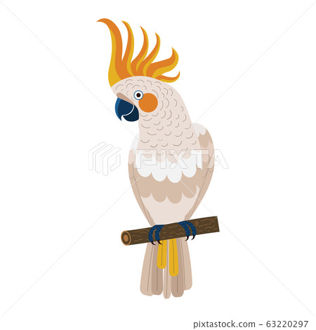 Citron Crested Cockatoo Parrot in Flat Design Citron Crested Cockatoo Parrot in Flat Design 63220297