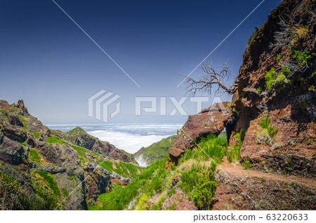 Mountains above the clouds and dead tree on slope 63220633