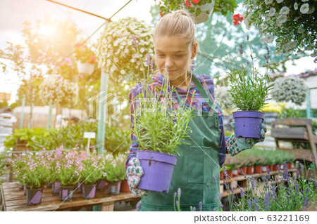 Female florist or gardener in flower shop or 63221169