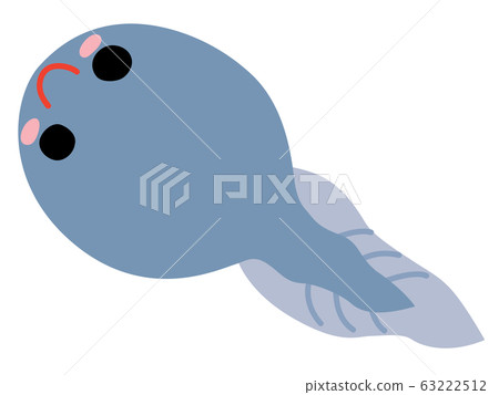 Illustration of tadpoles Illustration of tadpoles 63222512
