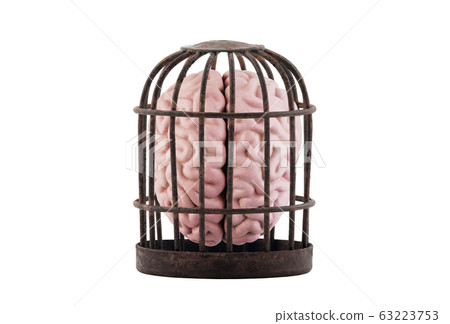 Human brain trapped in old rusty cage isolated on white. Free your mind concept. Human brain trapped in old rusty cage isolated on white. Free your mind concept. 63223753
