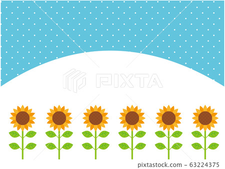 Sunflower field 63224375