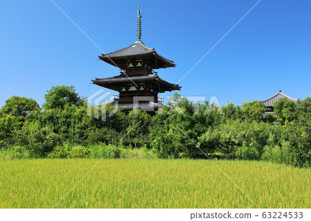 秋天的Jokoji 63224533