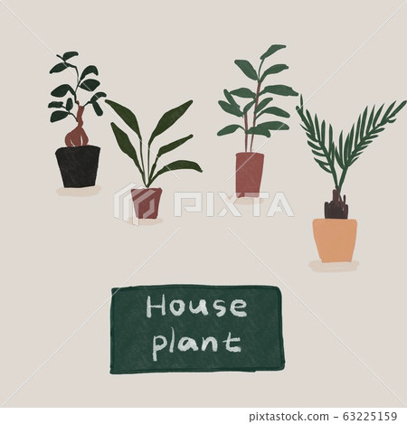 室內植物（榕樹，鶴望蘭，八木，蘇鐵） 63225159
