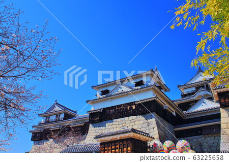 [Ehime Prefecture] Matsuyama Castle in full bloom 63225658