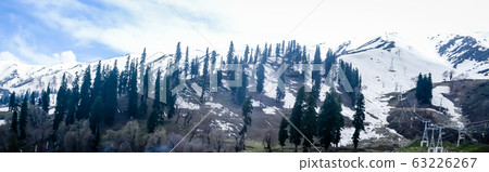 Deep Snow covered Himalayan mountain and Winter white forest landscape view.  63226267