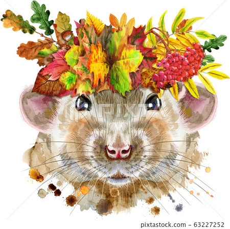 Watercolor portrait of rat with splashes with 63227252