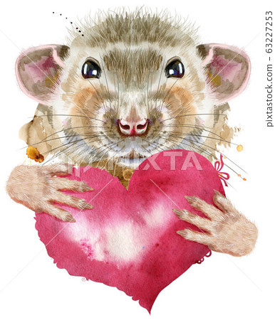Watercolor portrait of rat with pink heart Watercolor portrait of rat with pink heart 63227253