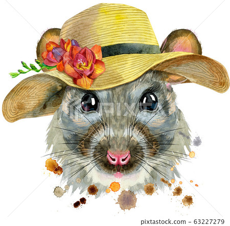 Watercolor portrait of rat with a wide-brimmed Watercolor portrait of rat with a wide-brimmed 63227279