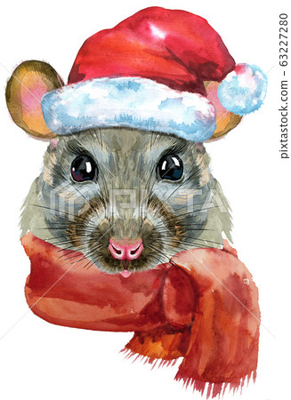 Watercolor portrait of rat in Santa hat and scarf 63227280