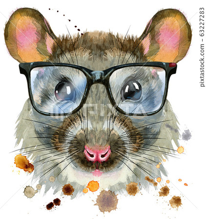 Watercolor portrait of rat with big black glasses Watercolor portrait of rat with big black glasses 63227283