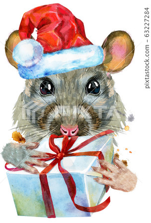 Watercolor portrait of rat in Santa hat with gift 63227284
