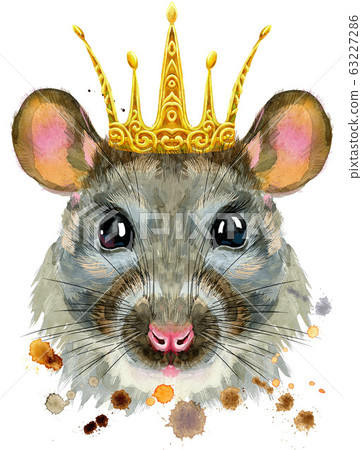 Watercolor portrait of rat with golden crown Watercolor portrait of rat with golden crown 63227286