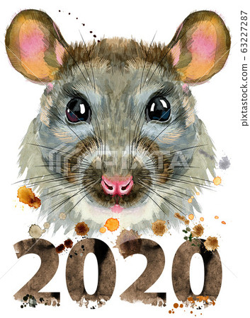 Watercolor portrait of rat with splashes and year 63227287