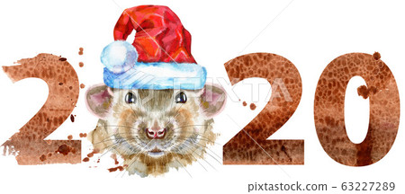 Watercolor portrait of rat in Santa hat with 63227289