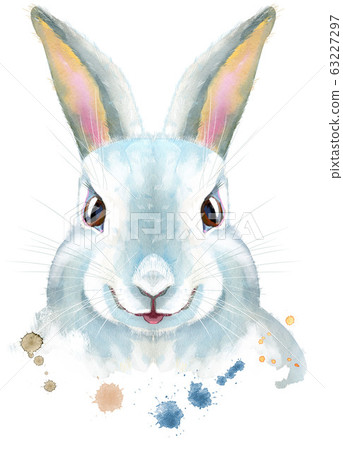 Watercolor illustration of a white rabbit Watercolor illustration of a white rabbit 63227297
