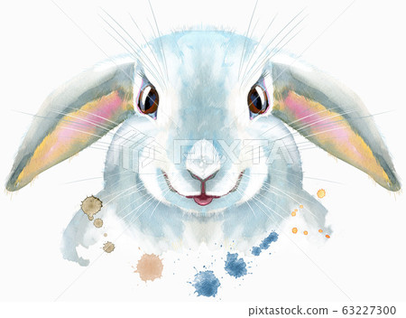 Watercolor illustration of a white rabbit Watercolor illustration of a white rabbit 63227300