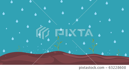 Green seedling growing on the ground in the rain. 63228608