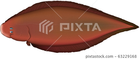 扁平的舌頭 扁平的舌頭 63229168