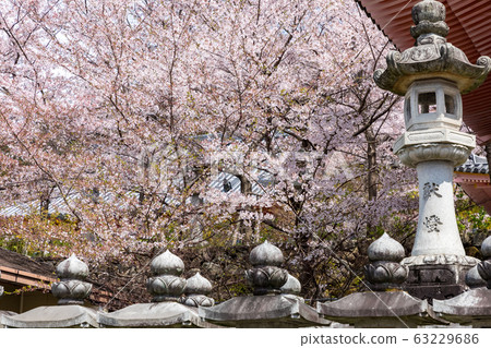 櫻奈良ara坂bo 63229686