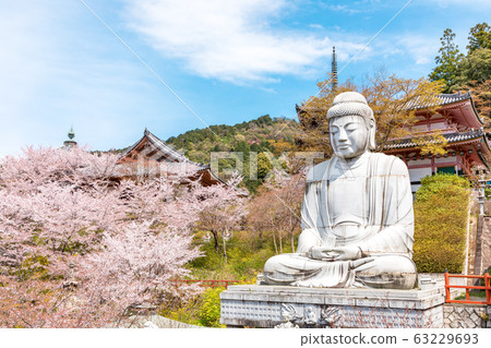 奈良縣坪坂櫻佛像 63229693